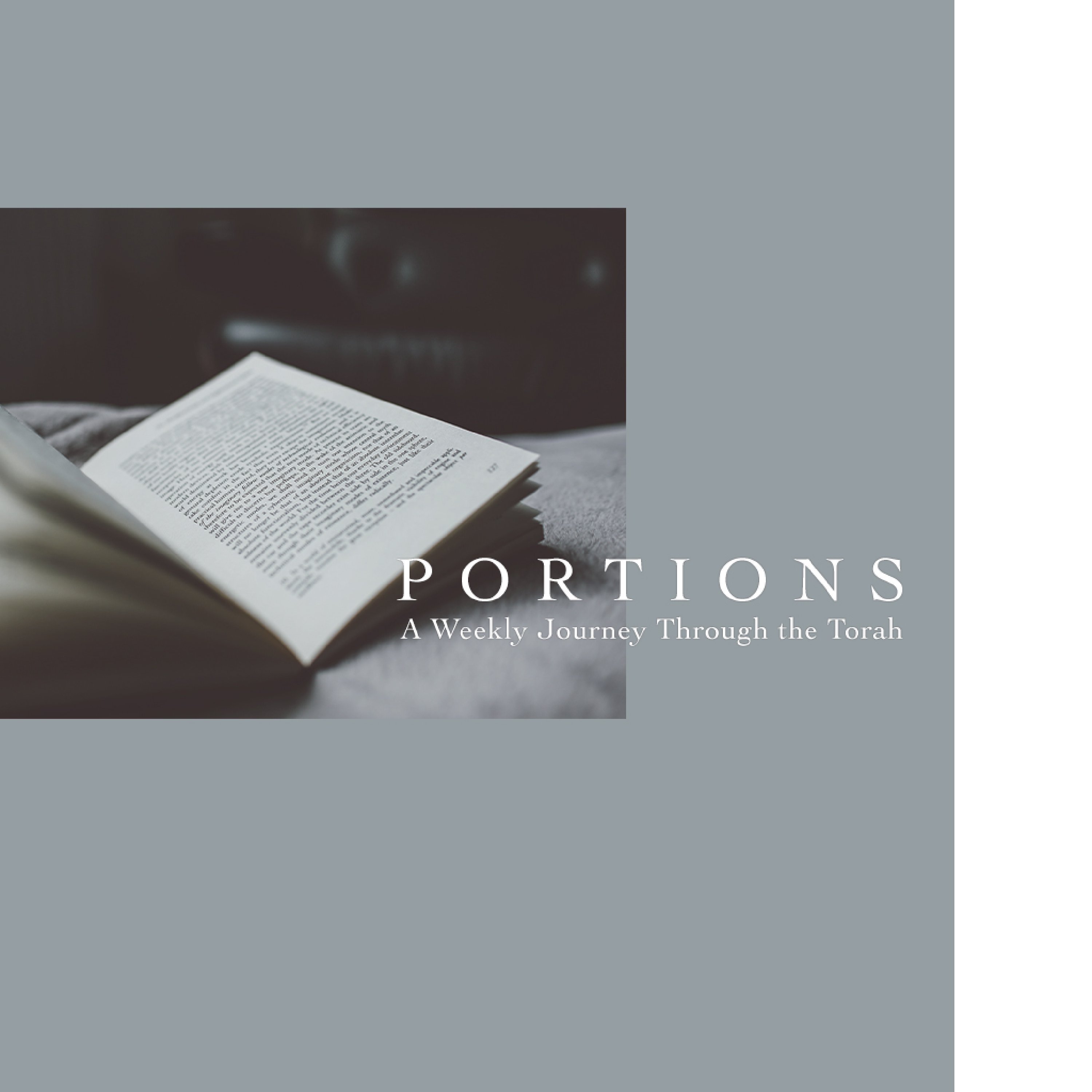 PORTIONS - A TFI Podcast Artwork