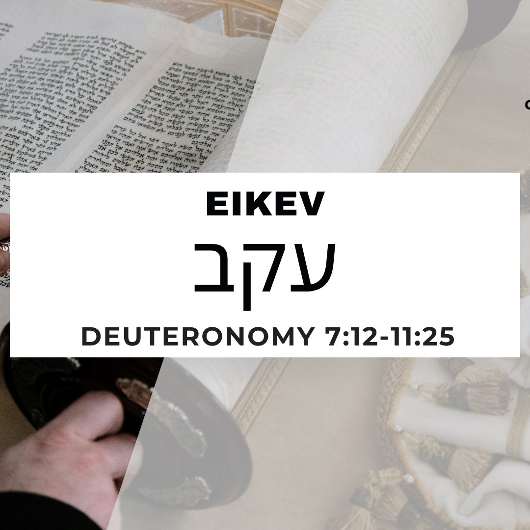 CMC Parashat Eikev 5786 episode artwork