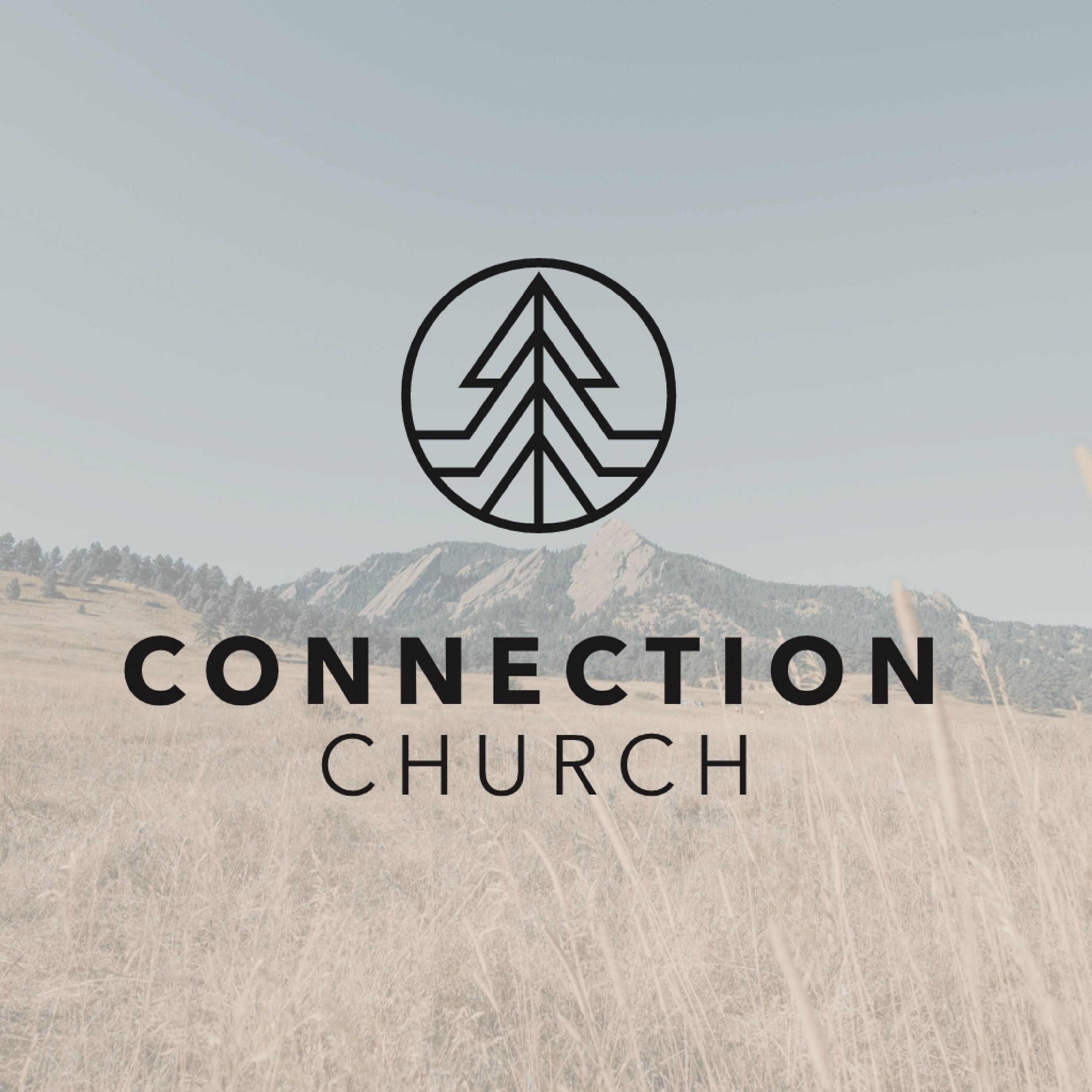 Connection Church Longmont
