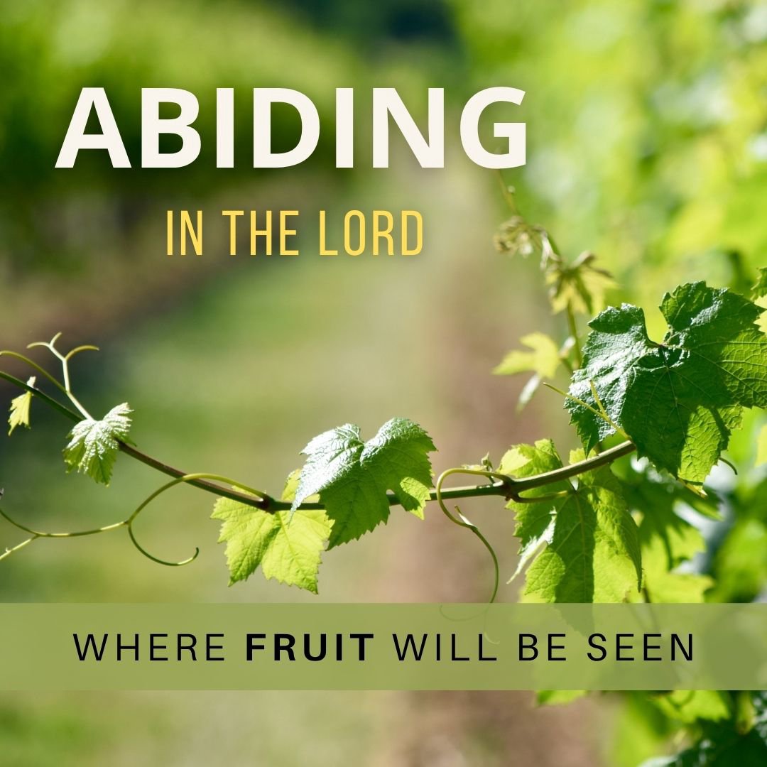 Abiding in the LORD - Where Fruit Will Be Seen