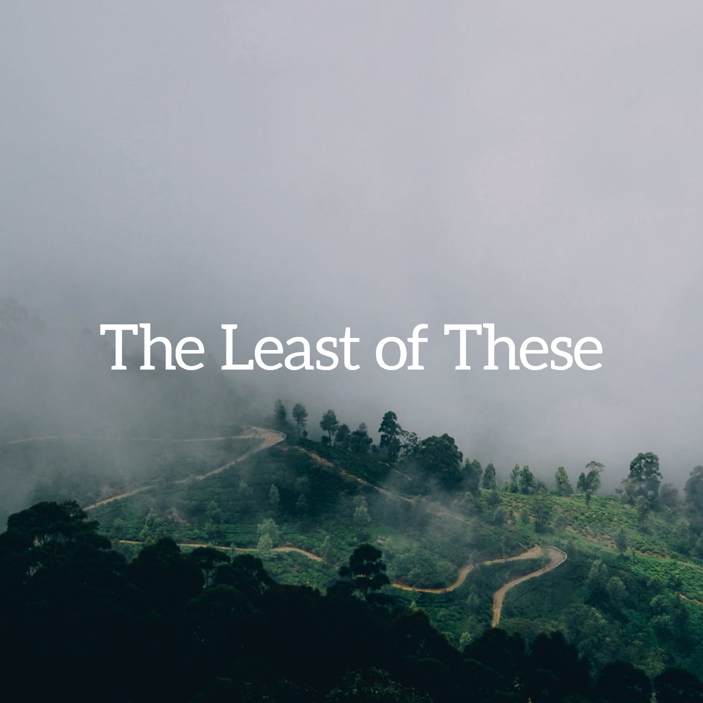 The Least of These - Part 2
