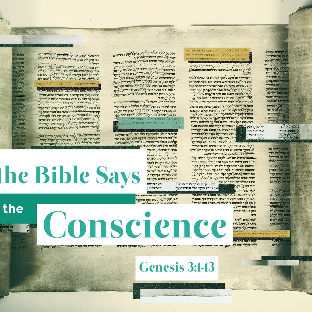 Trinity Fellowship Friendswood, TX