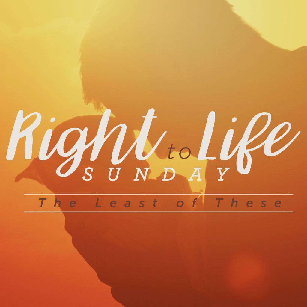 Right to Life: The Least of These episode artwork