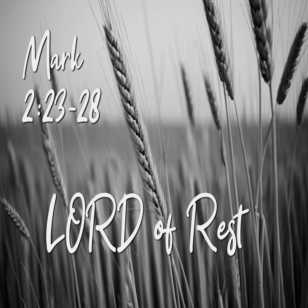 Lord of Rest | Mark 2:23–28 | Sermon by Pastor Martin Long | Calvary Chapel Albany Lord of Rest | Mark 2:23–28 | Sermon by Pastor Martin Long | Calvary Chapel Albany