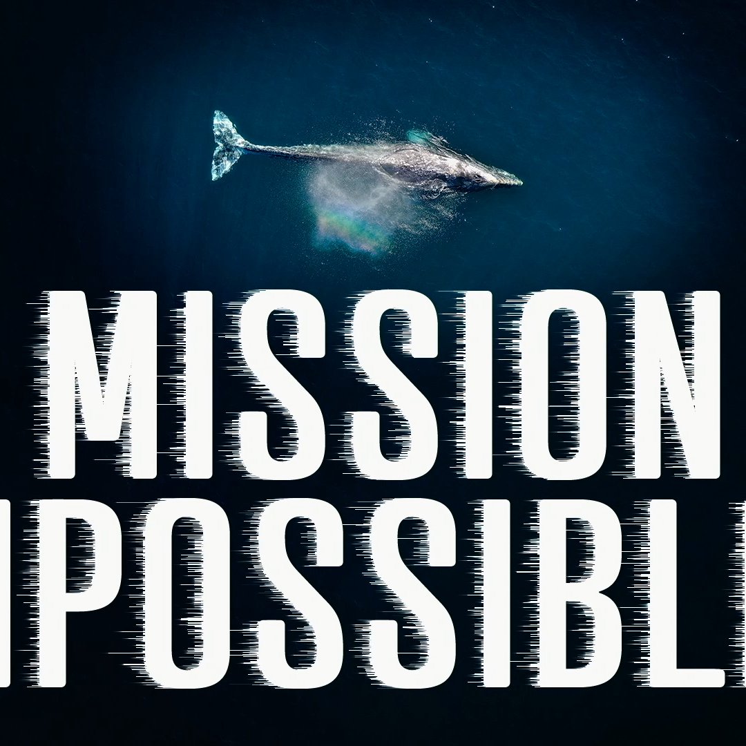 MISSION IMPOSSIBLE? episode artwork