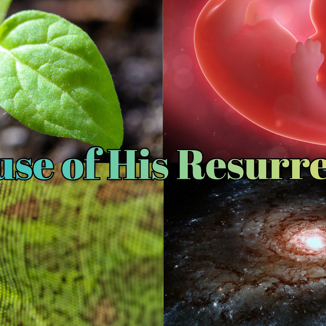 Because Of His Resurrection episode artwork