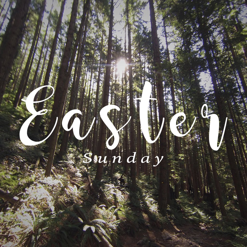 He is Risen episode artwork