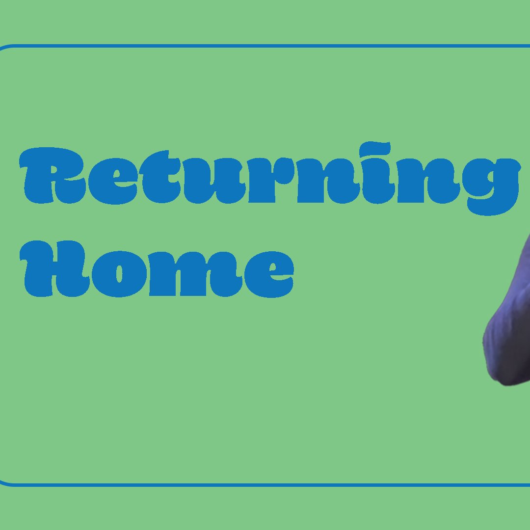 Returning Home | John Peters