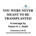You Were Never Meant to be Transplanted episode artwork