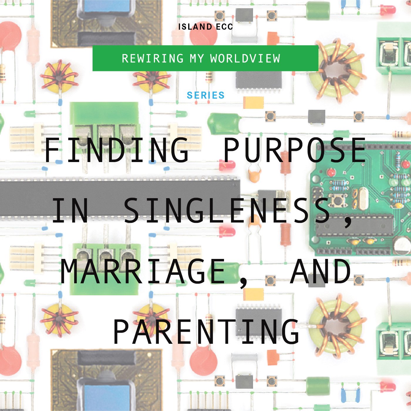 Rewiring My Worldview: Finding Purpose in Singleness, Marriage, and Parenting episode artwork
