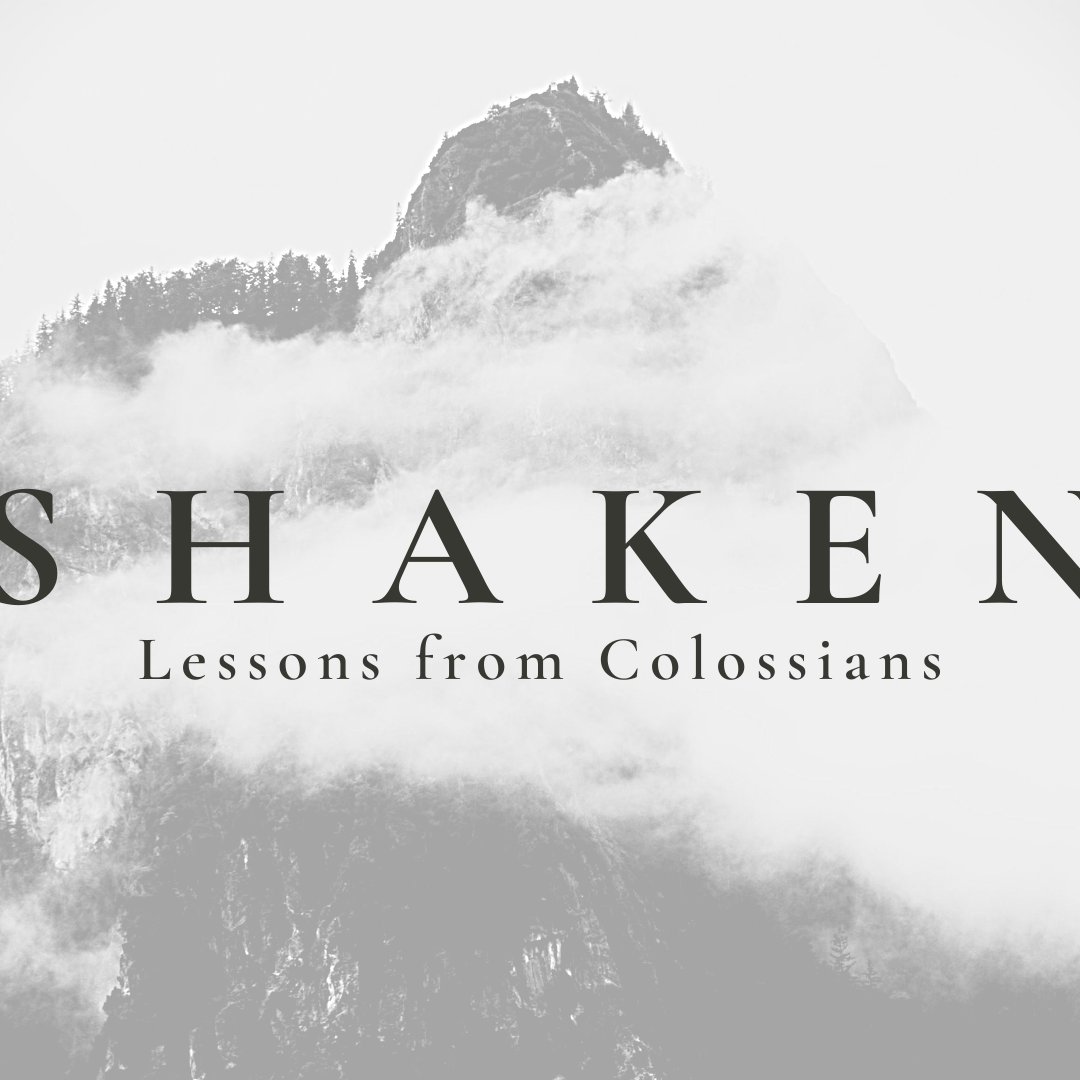 Shaken VI