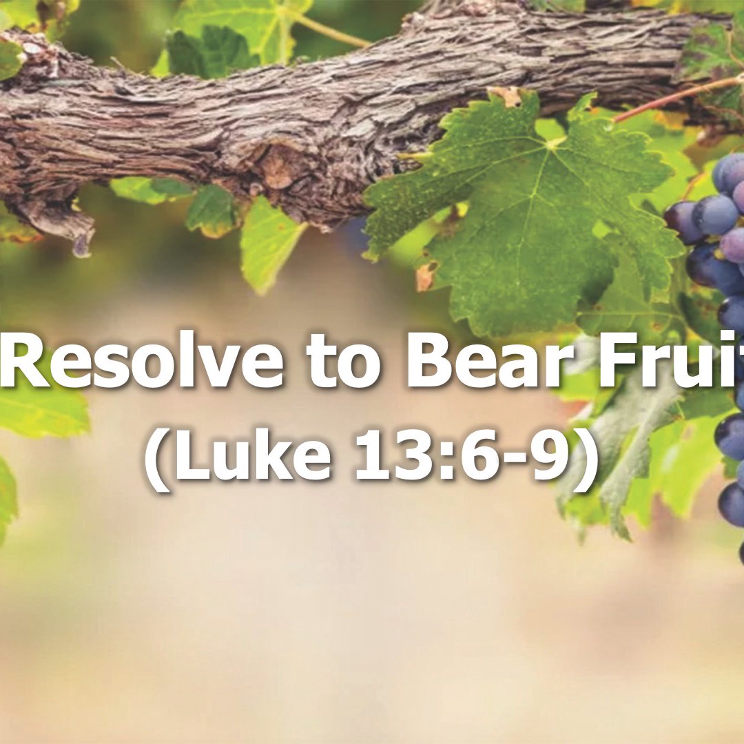 Calvary Chapel Into The Light - Video