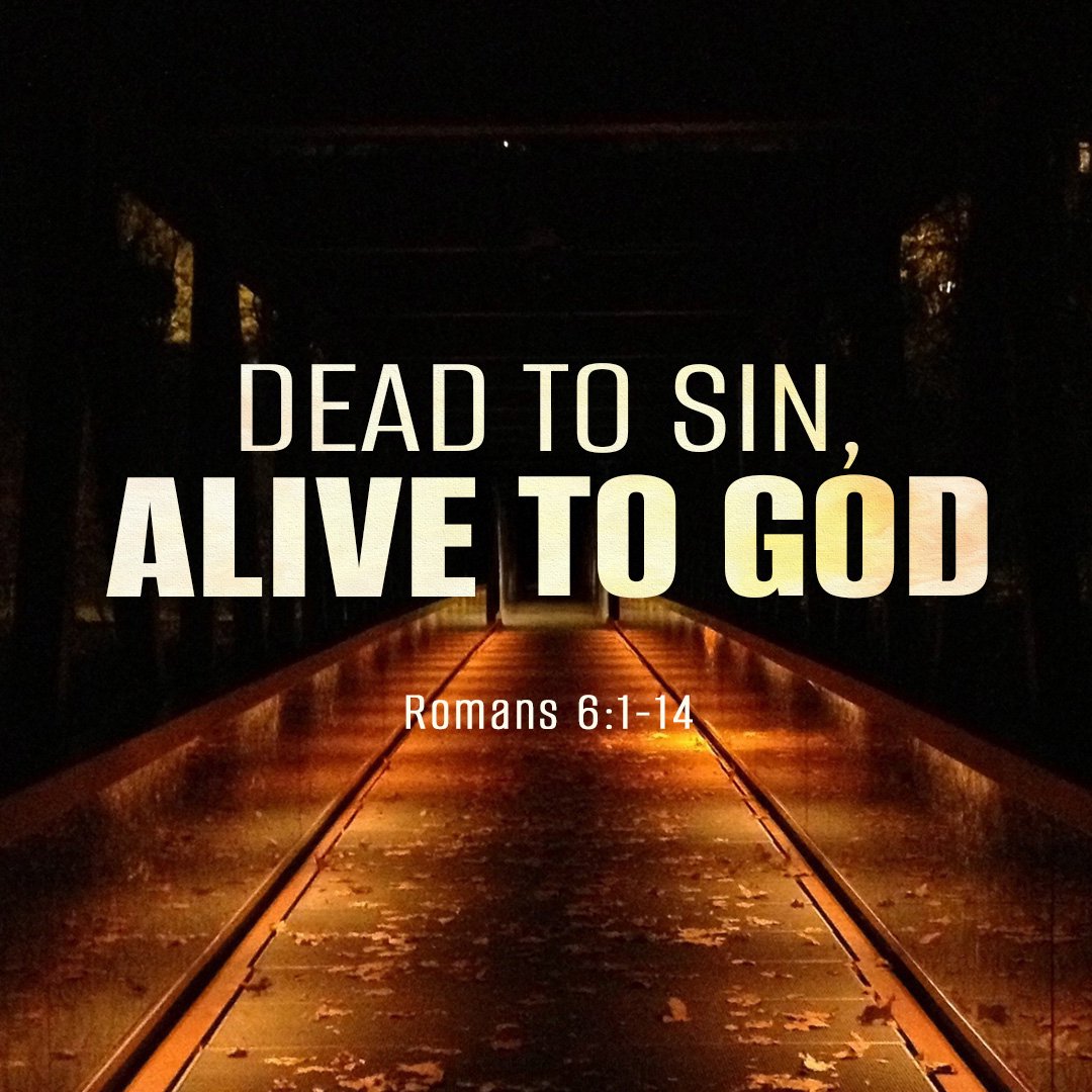 Dead to Sin, Alive to God
