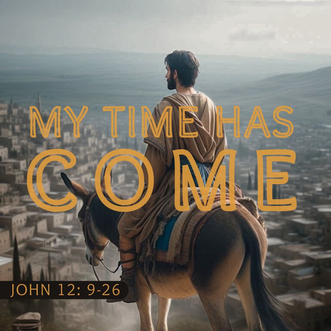 John 12:9-26 - My Time Has Come