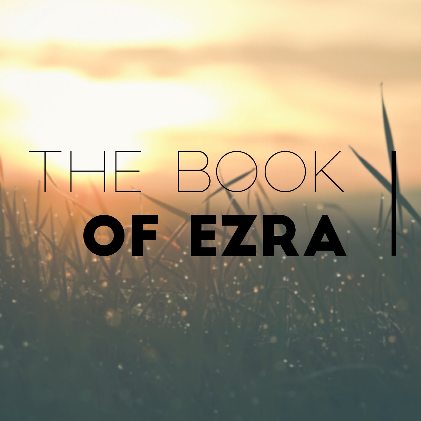 The Book of Ezra 2 & 3