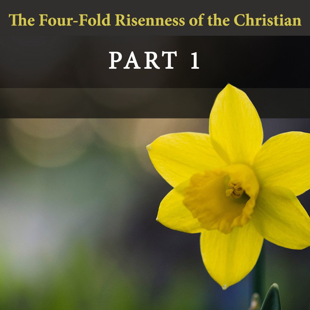 How Alive is Alive? The Four-Fold Risenness of the Christian (Part 1) episode artwork