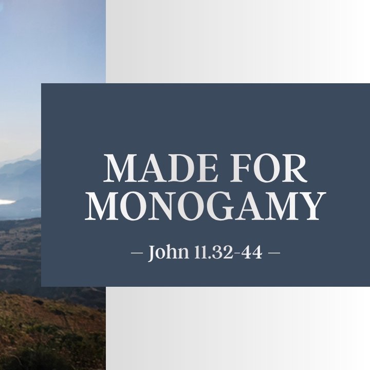Made for Monogamy episode artwork