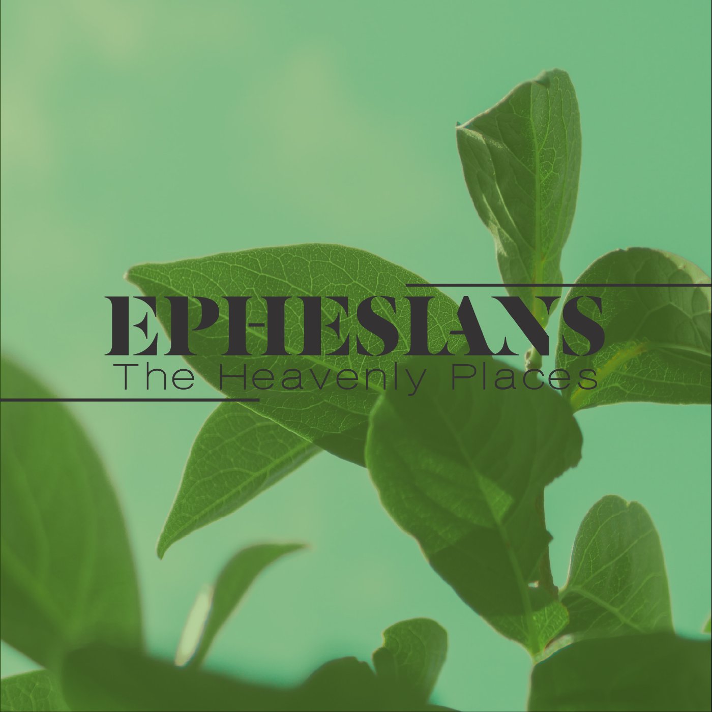 Ephesians | Week 25