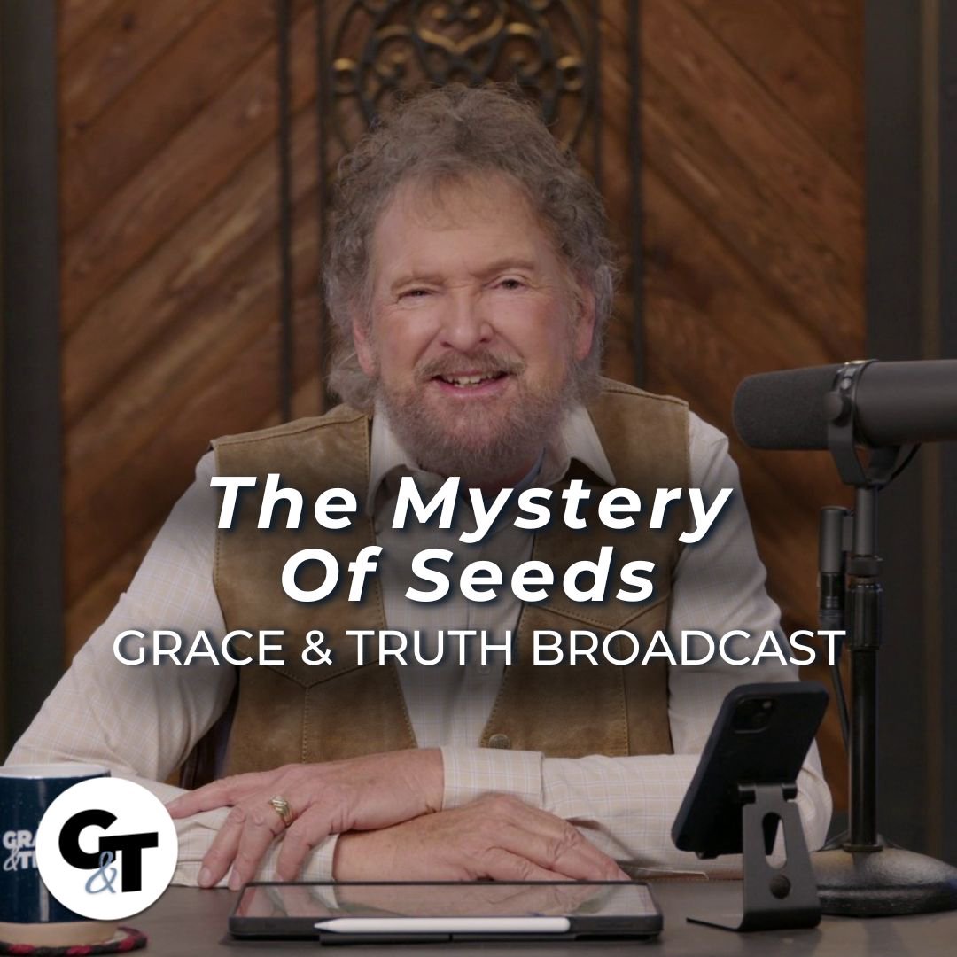 The Mystery Of Seeds | Episode 4 | Basic Of Seeds episode artwork