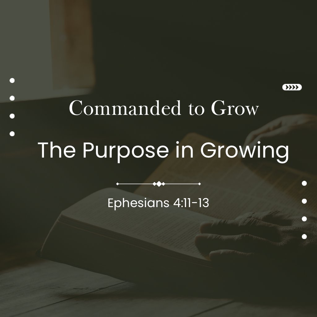 Commanded to Grow | The Purpose In Growing episode artwork