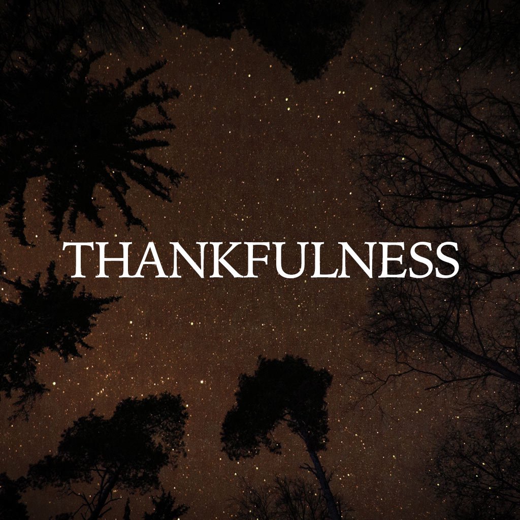 Thankfulness episode artwork