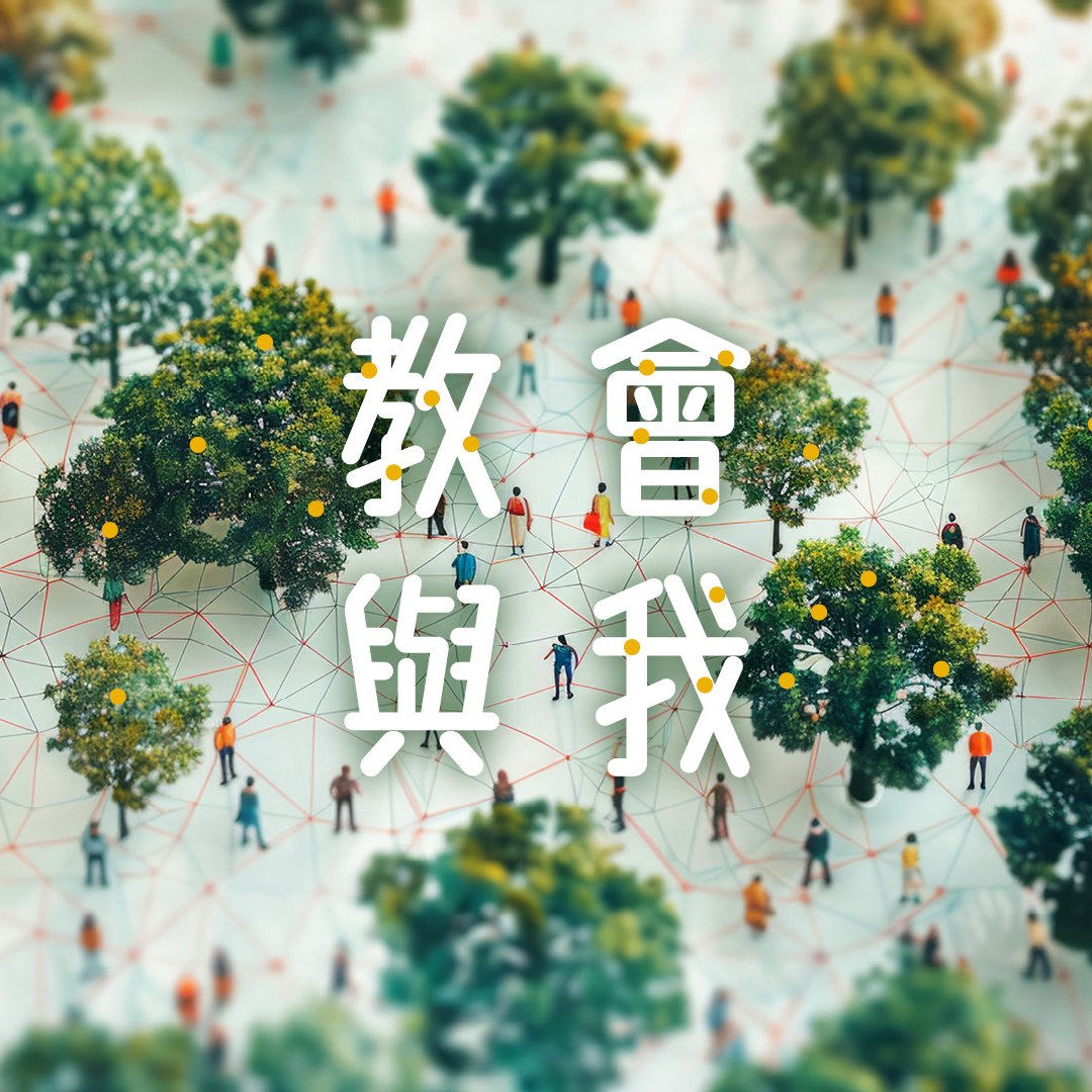 七．同根建造