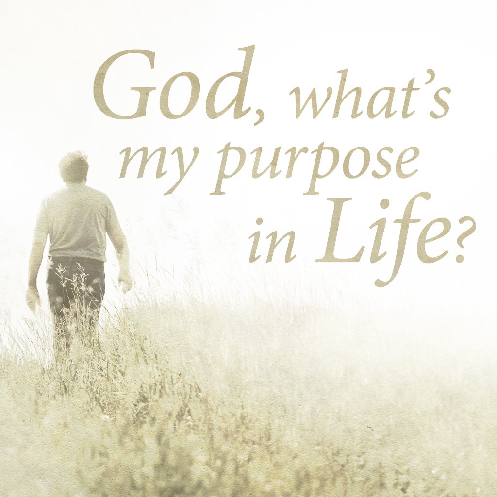 God, What's My Purpose In Life? episode artwork