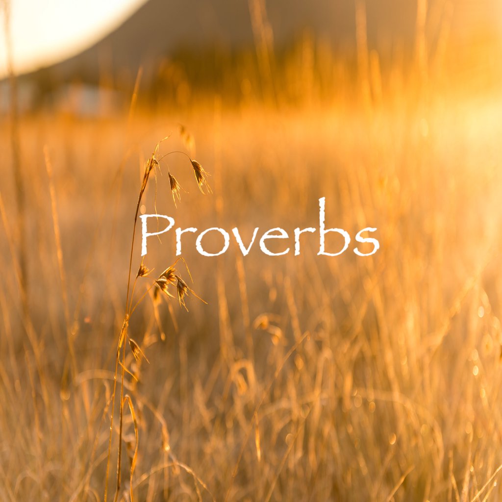 Proverbs 25 episode artwork