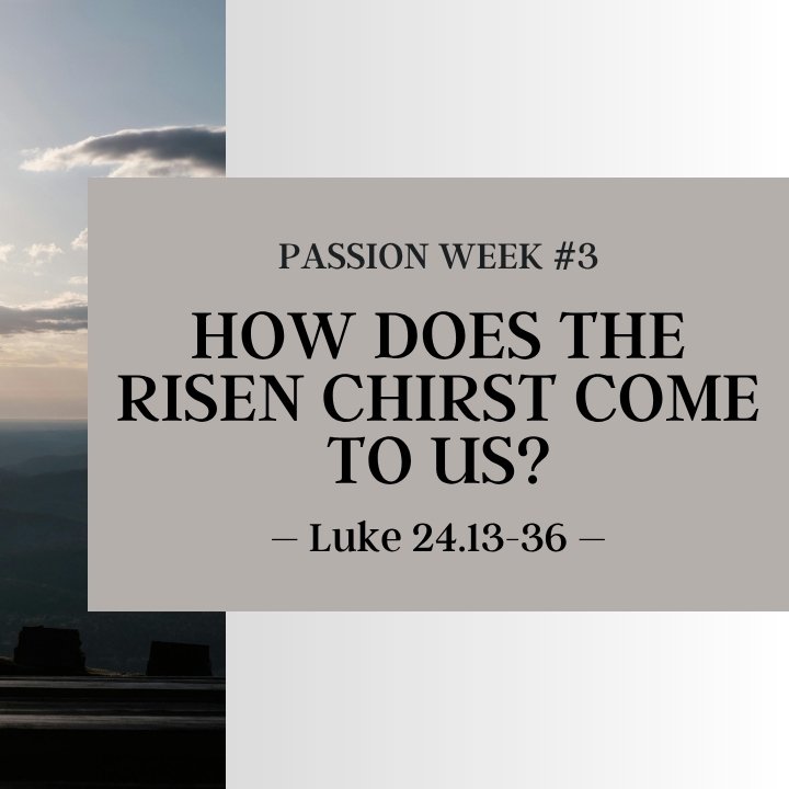 How Does the Risen Christ Come to Us? | Passion Week #3 episode artwork