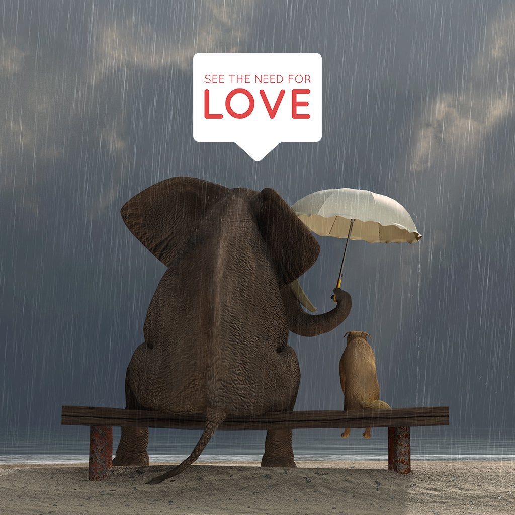 Love Your Busy Neighbors