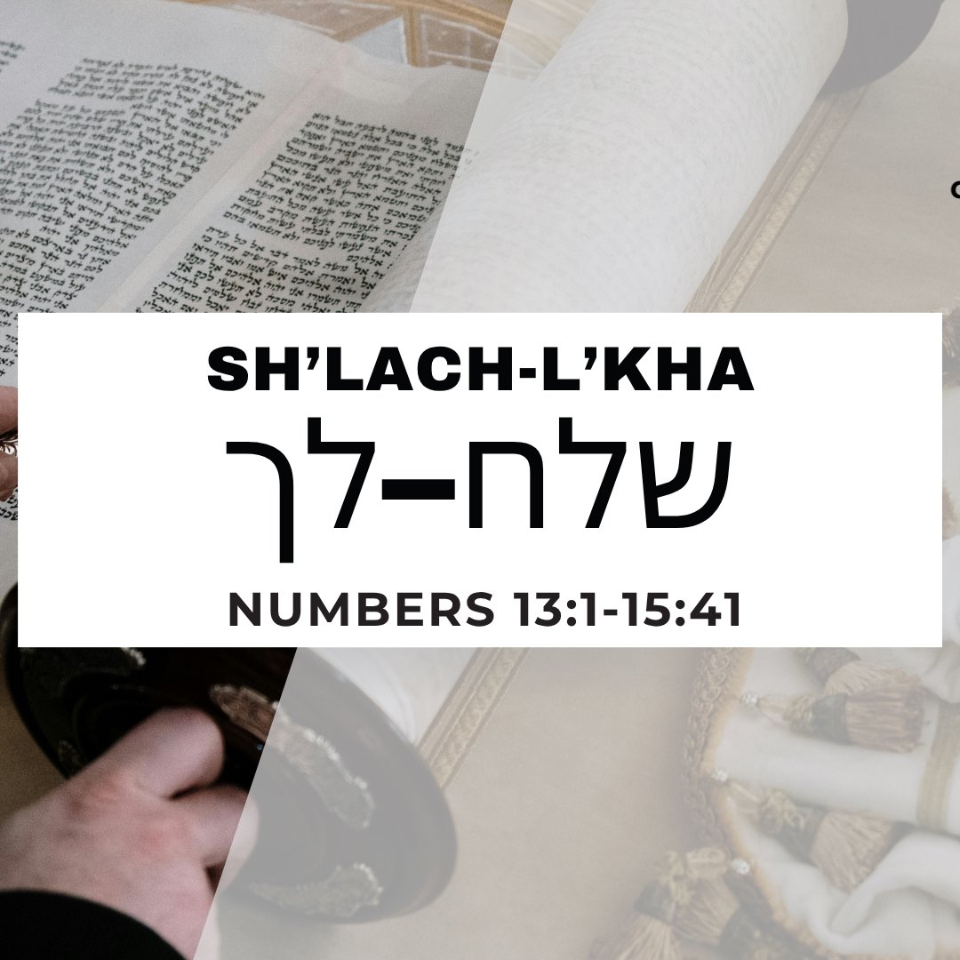 CMC Parasha Shlach Lkha 5786 episode artwork