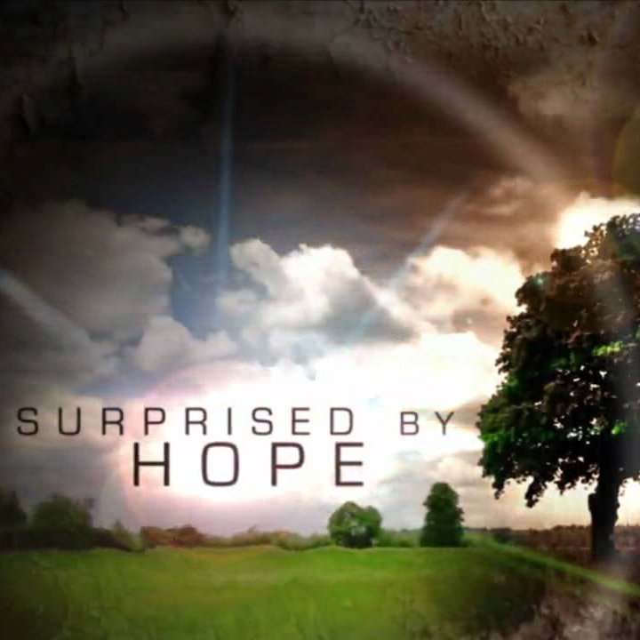 Easter Sunday 11:30 AM LiveStream: Surprised By Hope- The Road To Emmaus episode artwork