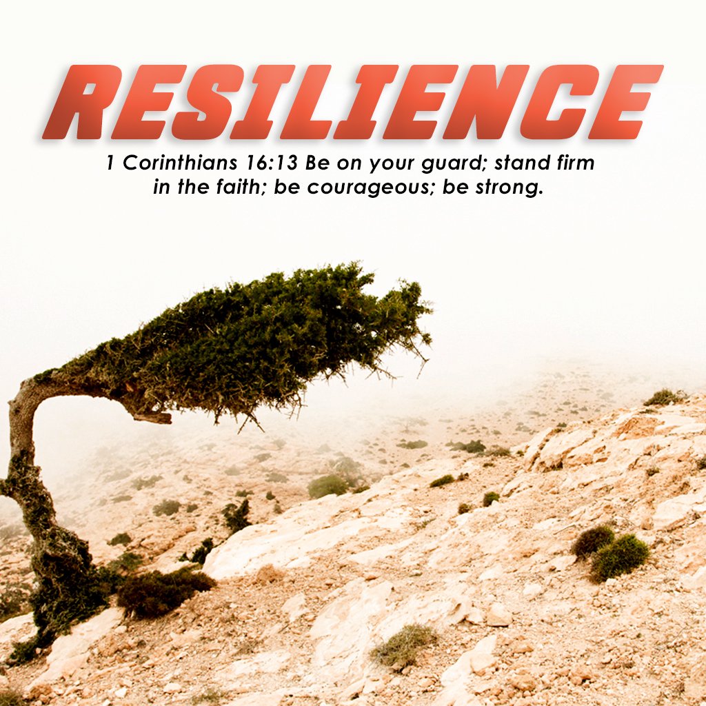 Resilience Part 3 | Spiritual Buoyancy episode artwork