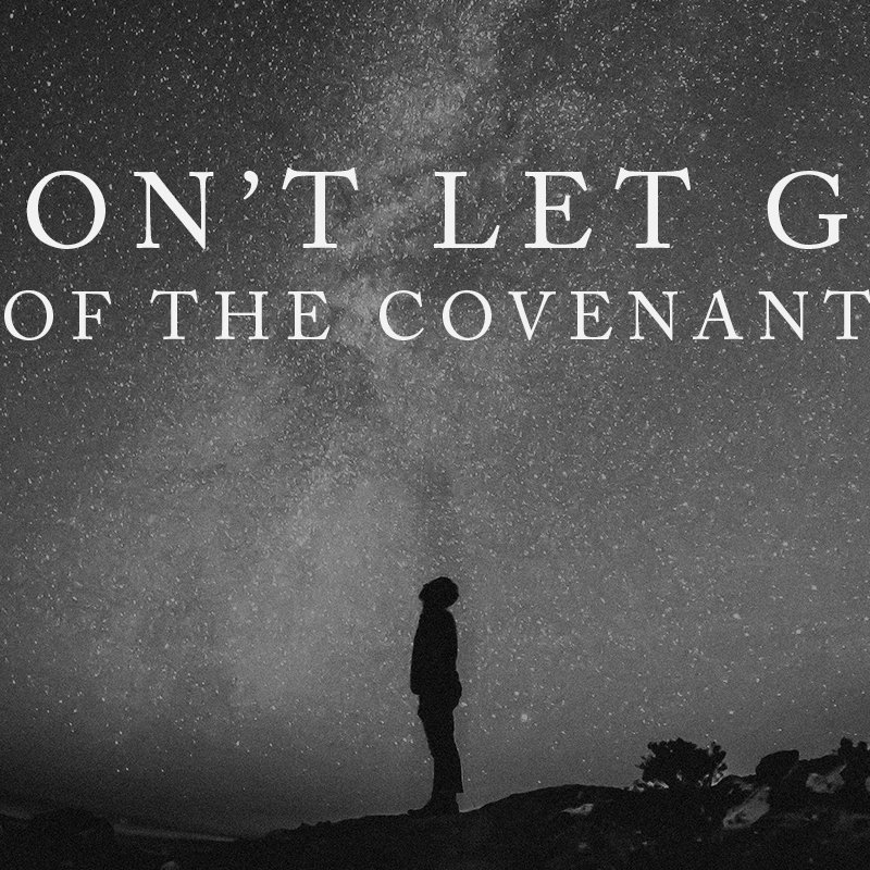 Part 3: Never Let Go of the Covenant episode artwork