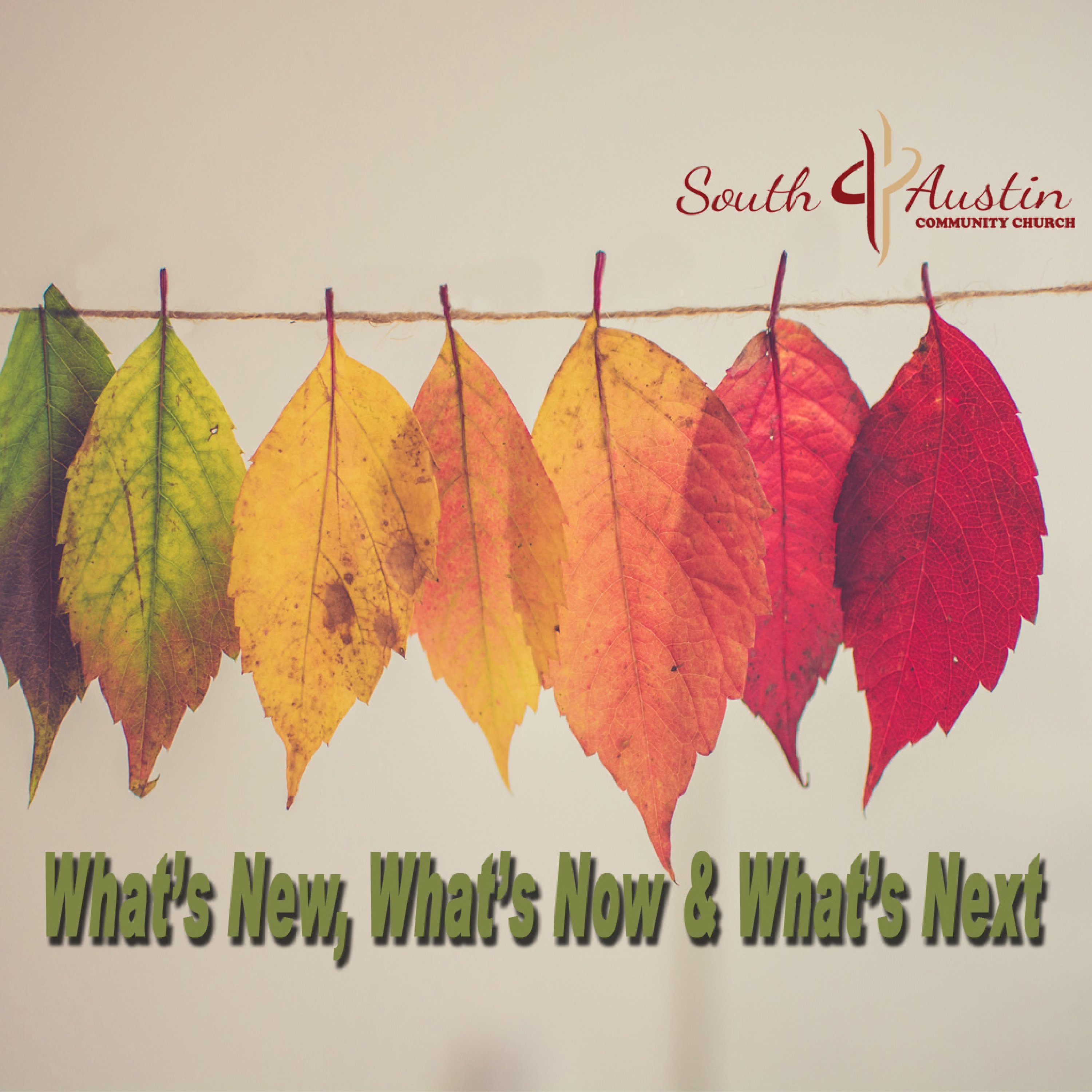 Whats New, What's Now & What's Next cover art