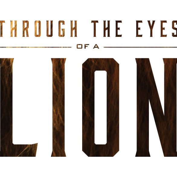 Through the eyes of a Lion (Week 2)