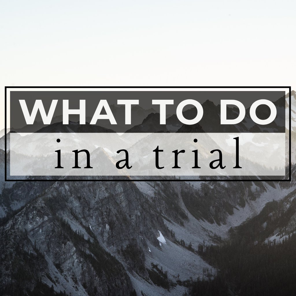 What to Do in a Trial