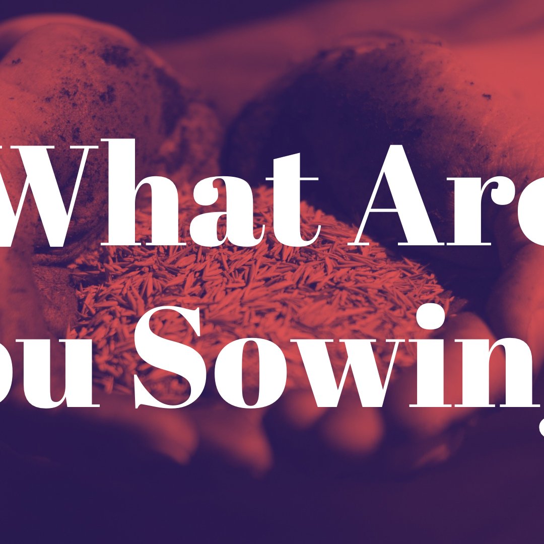 What Are You Sowing? episode artwork