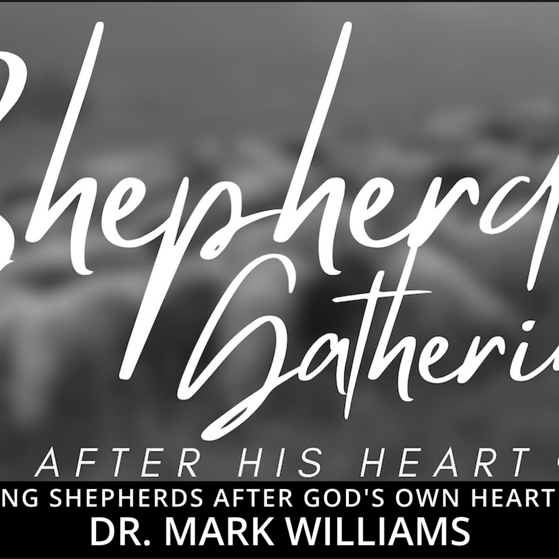 Becoming Shepherds After God's Own Heart (part 2) episode artwork