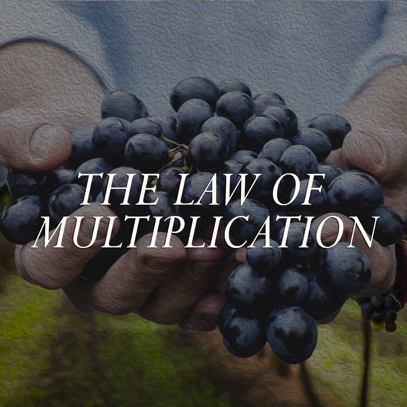 The Law of Multiplication episode artwork
