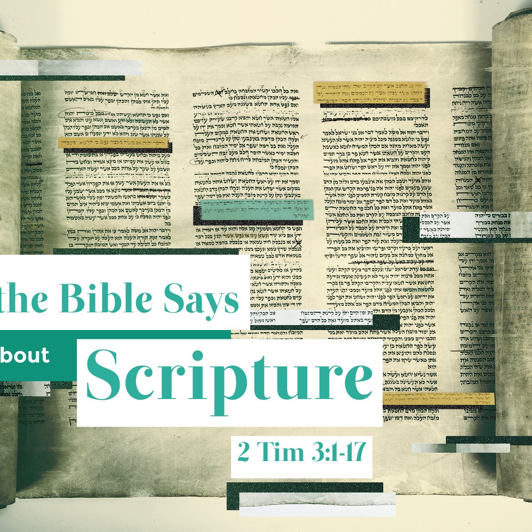 Trinity Fellowship Friendswood, TX