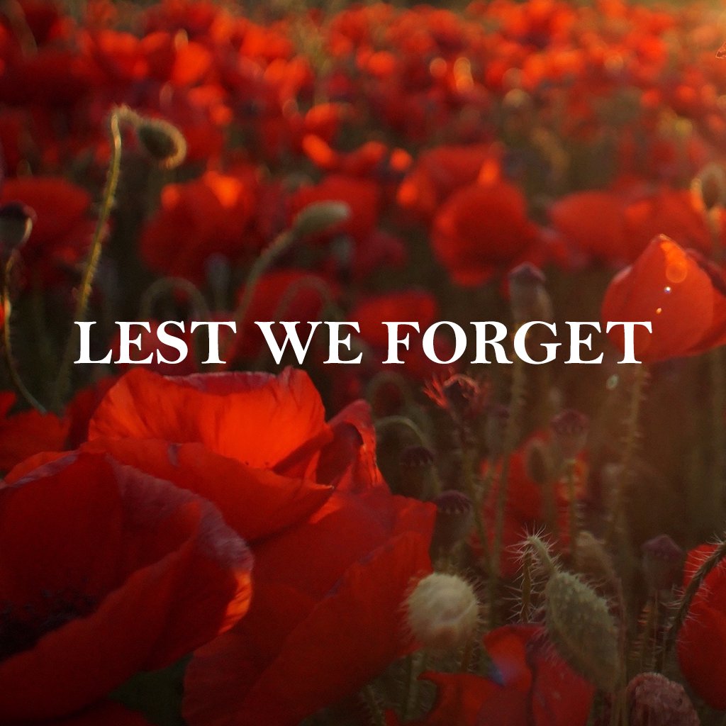 Lest We Forget episode artwork