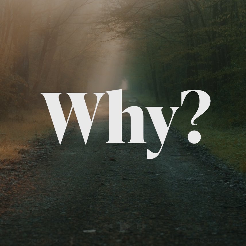 Why is The Church the Bride of Christ? • Ephesians 5:21-32