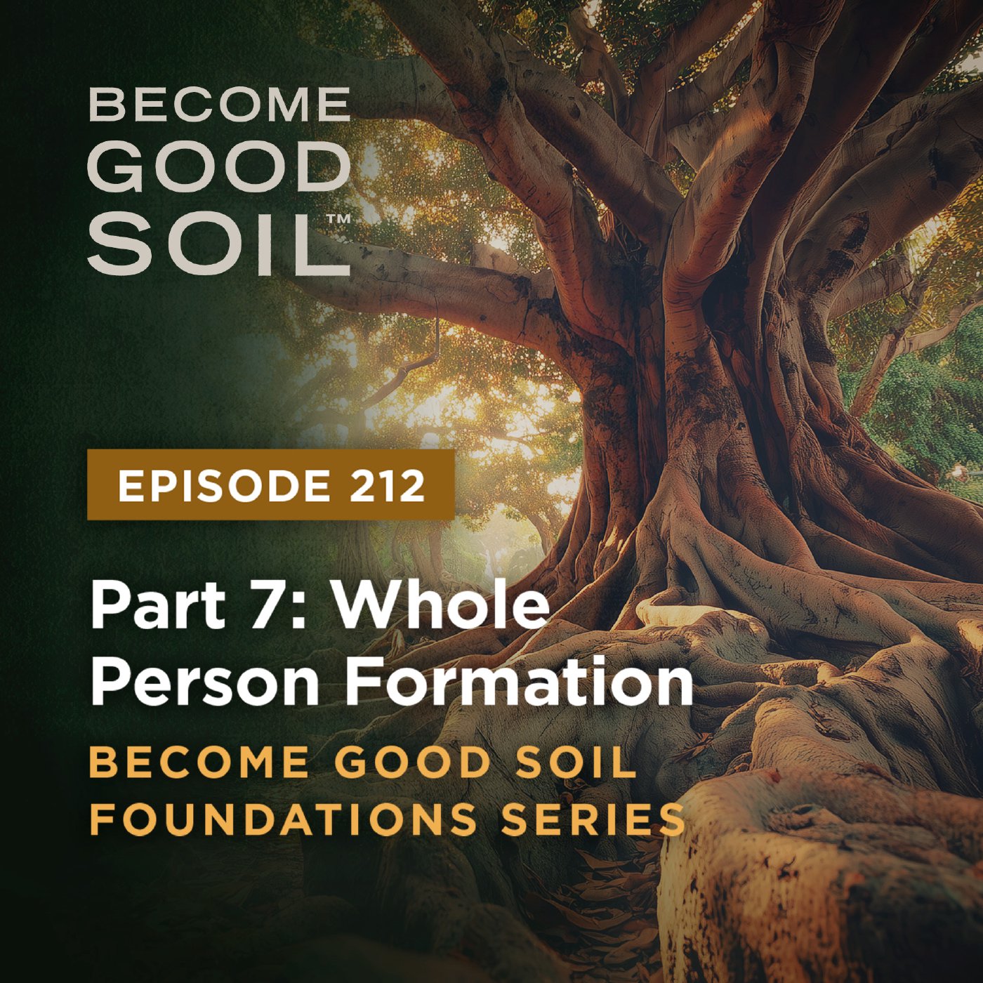 212: Whole Person Formation – Become Good Soil Foundation Series (Part 7) episode artwork