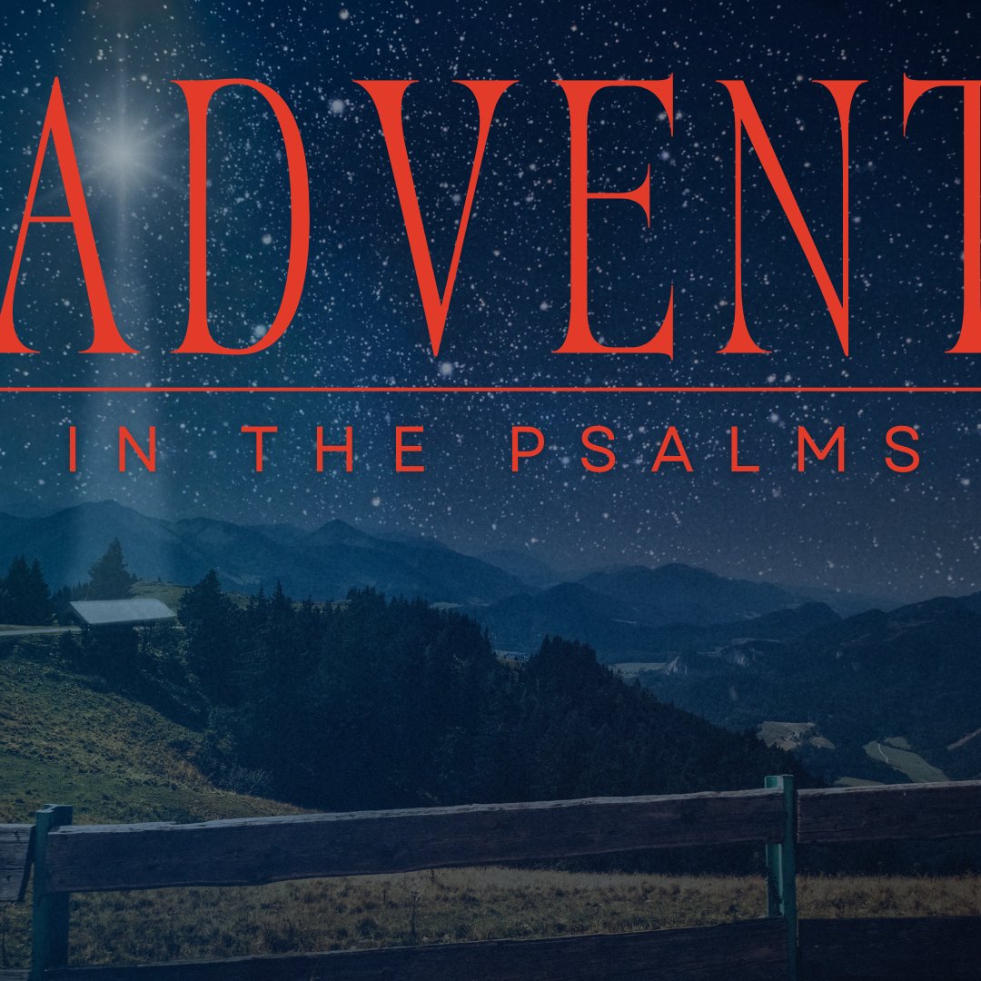 Advent 2024 (Part 2): The True King