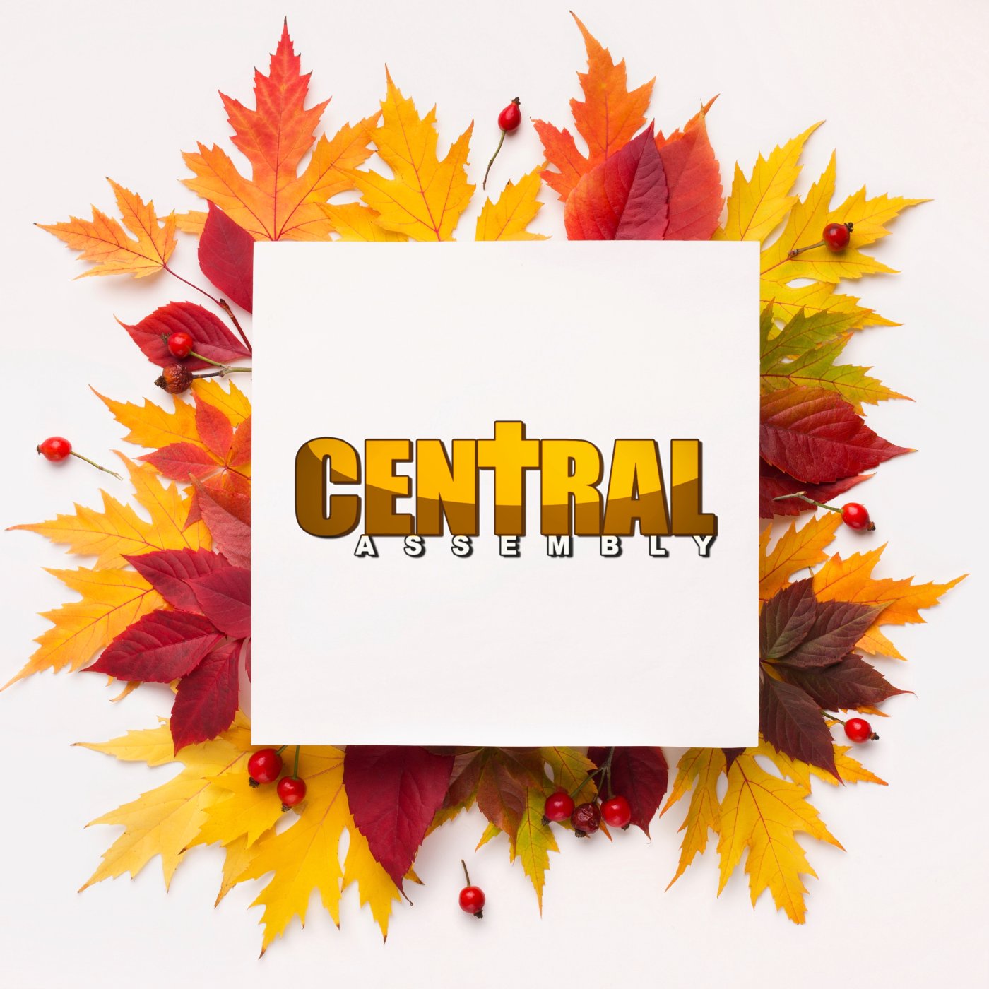 SUNDAY MORNING WORSHIP SERVICE | THE SECRET TO THANKSGIVING episode artwork