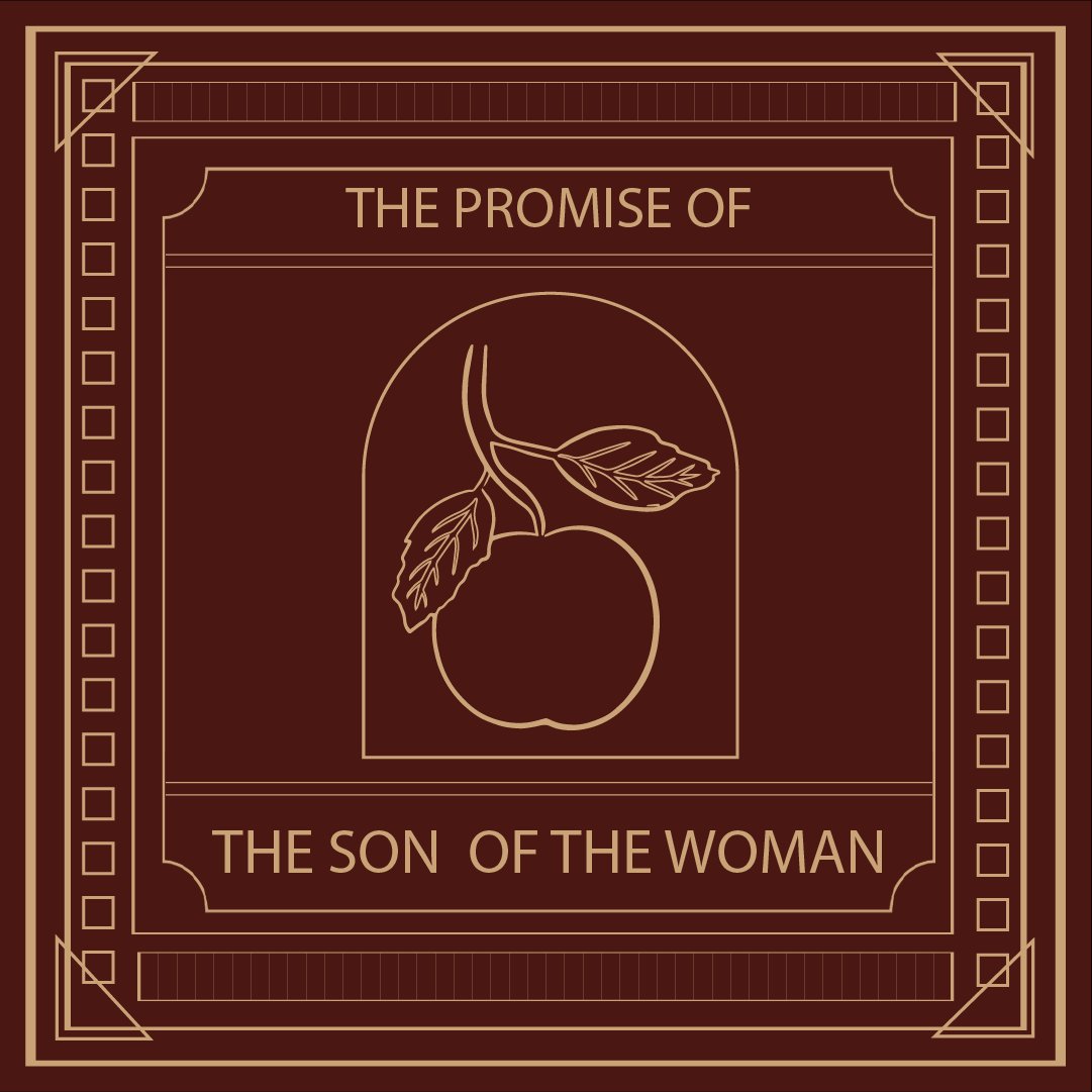 The Son of the Woman episode artwork