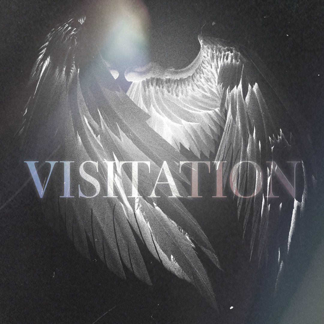 The Shepherds - Visitation's Revelation episode artwork