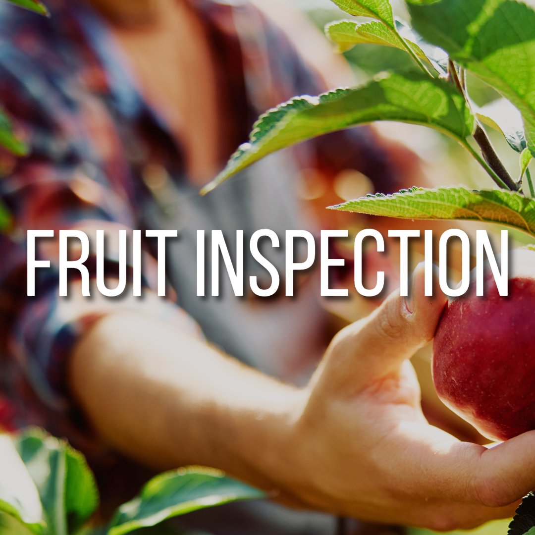 Fruit Inspection - Sunday Service August 24, 2025 episode artwork