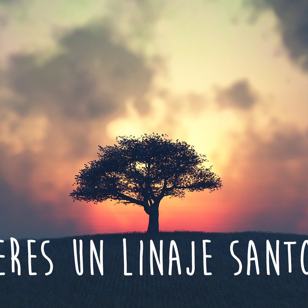 Eres un Linaje Santo #2 episode artwork